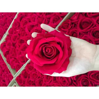 Hoa Lụa _Đầu Bông Hồng Nhung (Chất liệu phủ nhung cao cấp) .