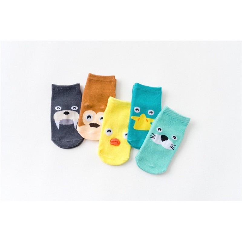 Combo 5 đôi tất Kids snocks cho bé trai/bé gái