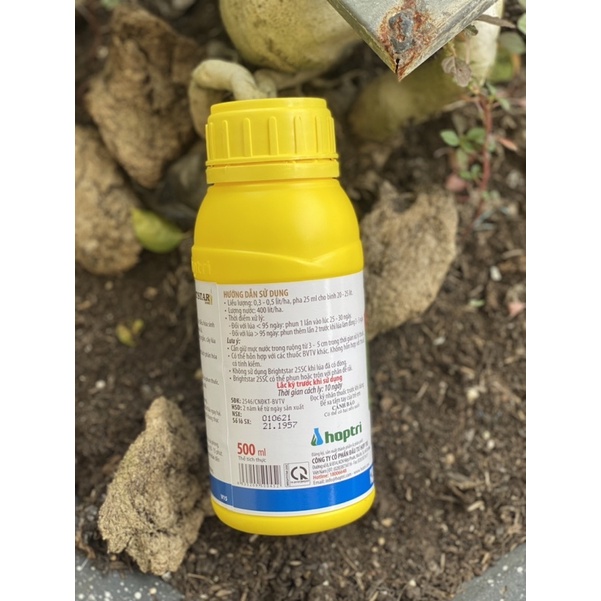 Tăng năng suất cây trồng- Vụ mùa bội thu- Điều hoà sinh trưởng - BrightStar 25SC Hợp Trí 500ml