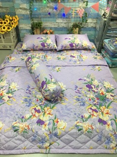 TRỌN BỘ DRAP MỀN COTTON POLLY