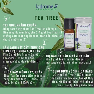 Tinh Dầu Organic Tràm Trà - Tea Tree
