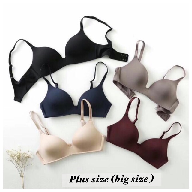 ÁO LÓT Sarah Lingerie XUẤT NHẬT NHẸ NHẤT QUẢ ĐẤT( ko gọng, mút mỏng)