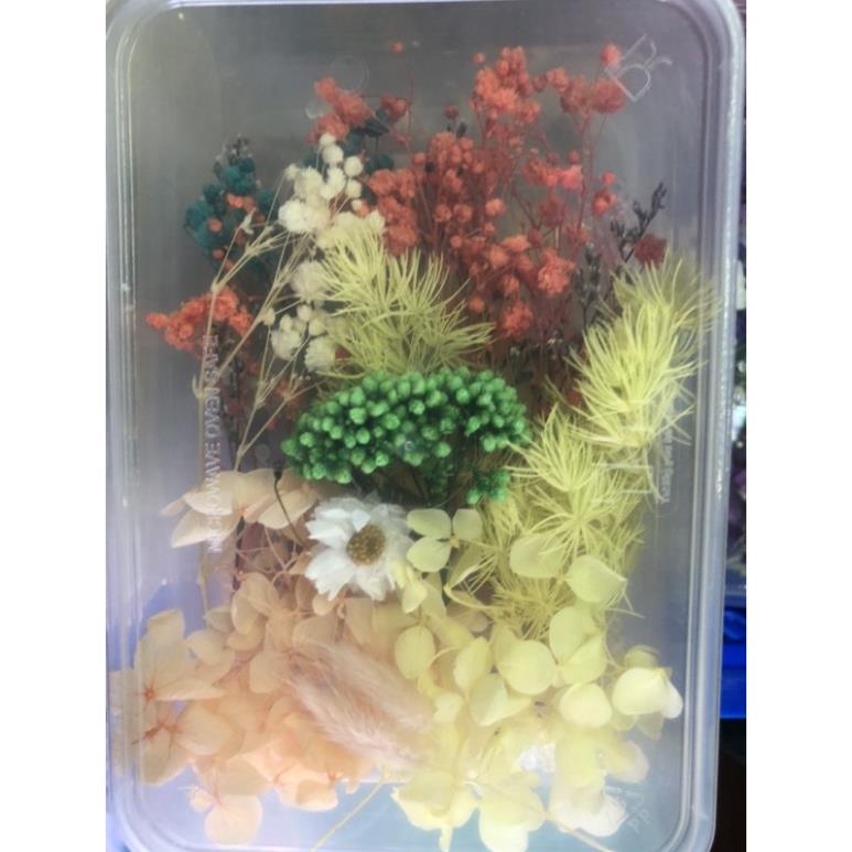 Hộp hoa khô mix tổng hợp trang trí resin