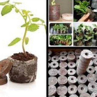 Bộ 50 viên nén ươm hạt - viên nén xơ dừa kích mầm -HG1