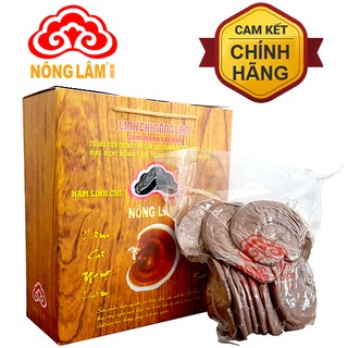 Nấm linh chi Nông Lâm (Loại cao cấp)