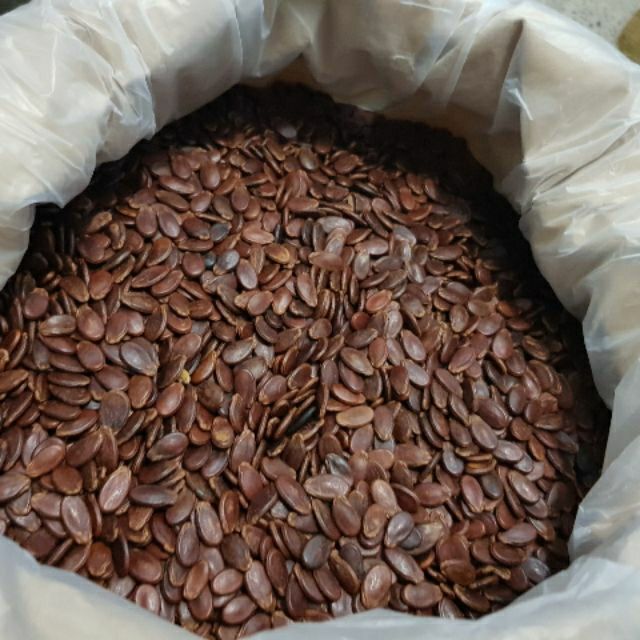 Hạt dưa không màu loại 1 -500g -DATE MỚI