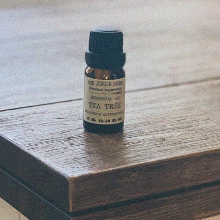 TINH DẦU CÂY TRÀ/TRÀM TRÀ (TEA TREE ESSENTIAL OIL)