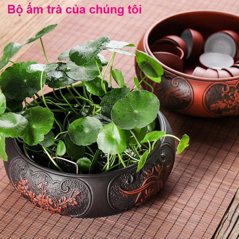 nhà cửa đời sốngNước rửa chè cát tím Bộ ấm trà Kung Fu chén bát cỡ bút bã gạt tàn chậu hoa cây