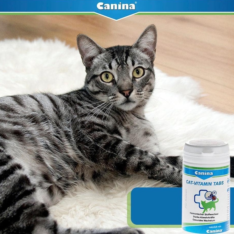 [DINH DƯỠNG CAO] HỘP 250 VIÊN VITAMIN cho mèo CANINA Cat-Vitamin Tabs - VITAMIN CHO MÈO