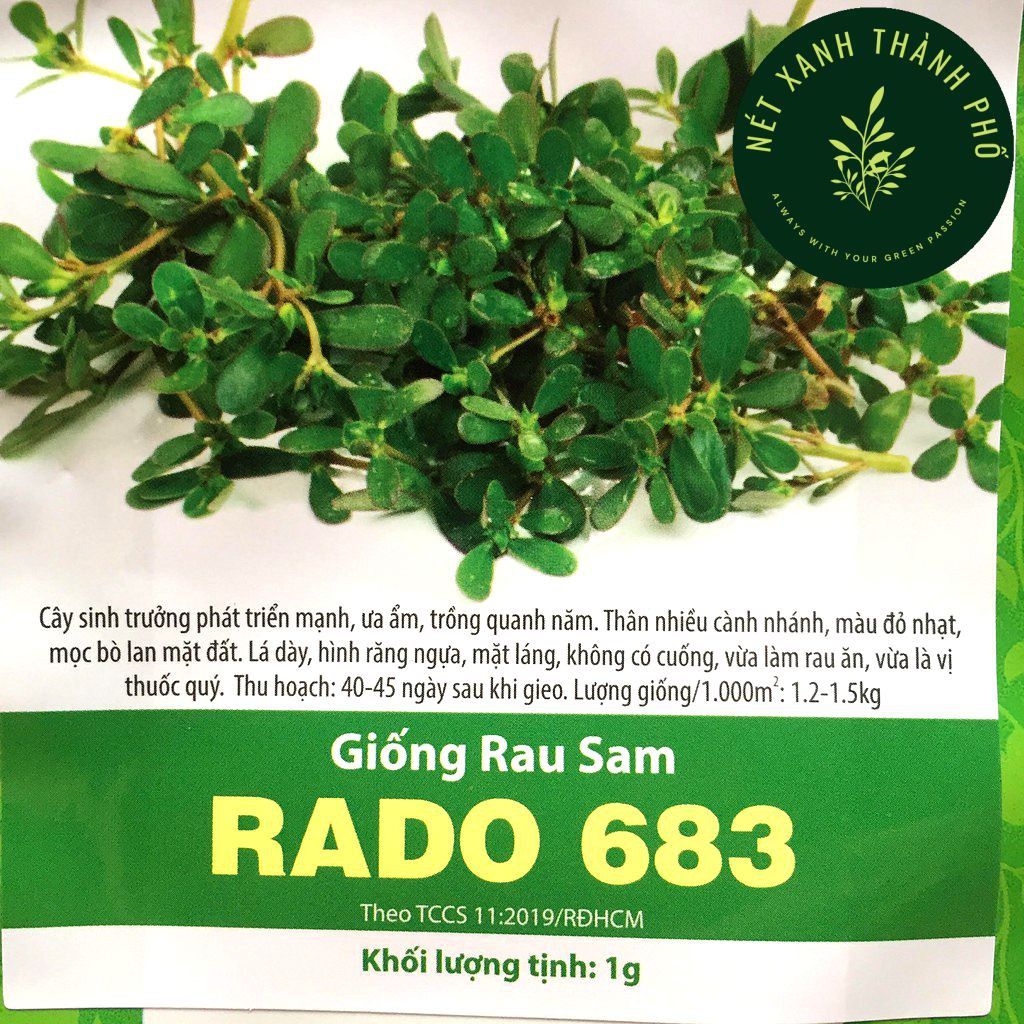 Hạt giống Rau Sam, 1gr