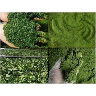 Kẹo Lạc Matcha (Trà Xanh)