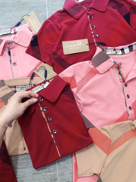 Áo thun sơ mi cổ đức BBR🥰có video🥰 | BigBuy360 - bigbuy360.vn