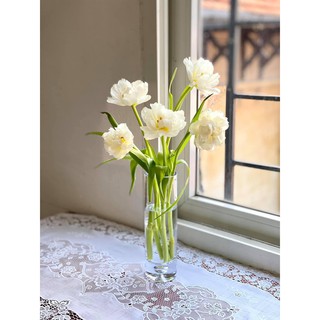 Bình bông lọ hoa thủy tinh trụ trơn PT006
