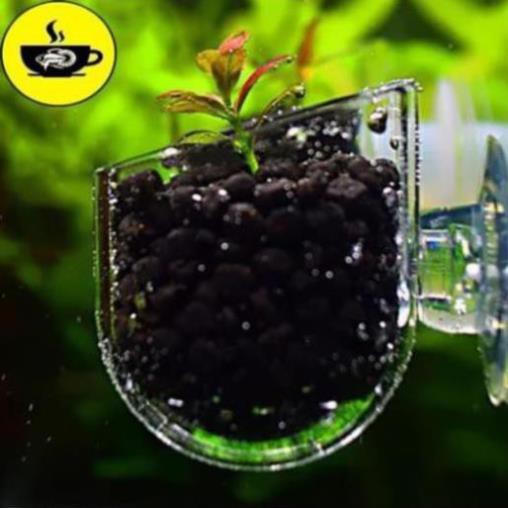 Trang Trí Hồ BETTA 39K