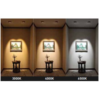 Đèn LED Panel Office Nanoco 24W - NPL30603, NPL30604, NPL30606