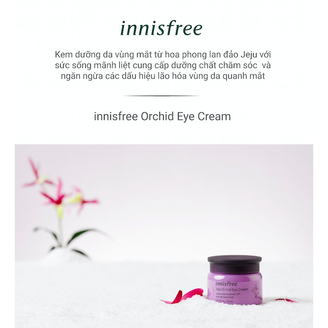 [Mã COSIF11 giảm 10% đơn 400K] Kem dưỡng da quanh mắt chống lão hóa hoa lan tím innisfree Jeju Orchid Eye Cream 30ml | BigBuy360 - bigbuy360.vn