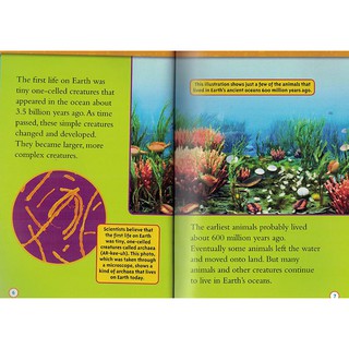 Đồ chơi- National Geographic level 3