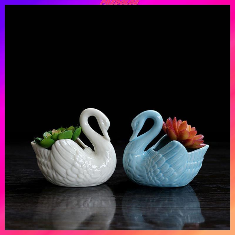 Set 2 Chậu Hoa Sen Đá Hình Thiên Nga / Xương Rồng Dễ Thương Dùng Trang Trí