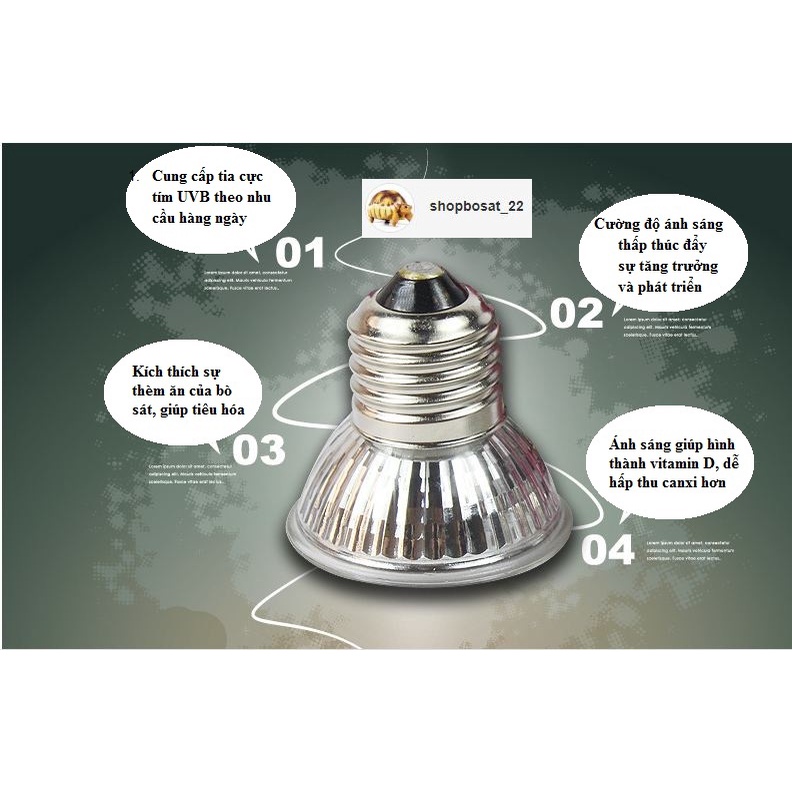 Đèn UVA+UVB 3.0, đèn sưởi nhỏ dùng cho bò sát thú cưng chính hãng Nomoypet