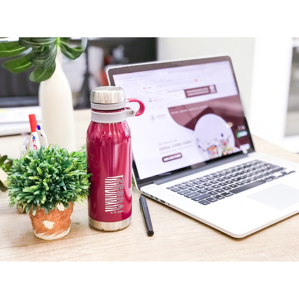 Bình giữ nhiệt Inox Zebra Wisdom LIFESTYLE - 500ML - 112635 Thái Lan