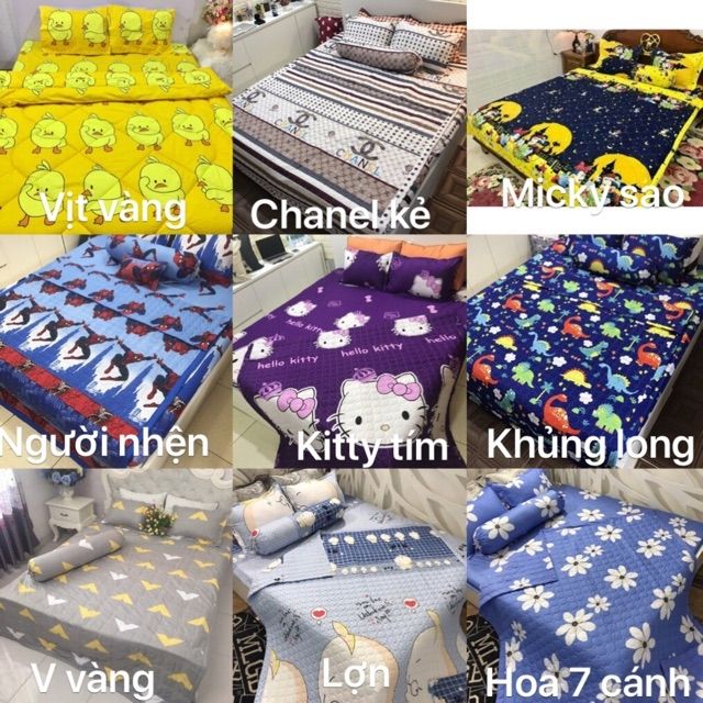 Ga và 2 vỏ gối cotton poly. Chat chọn mẫu