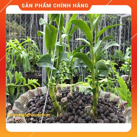 Phân dê đã qua xử lý dùng bón cây cảnh hoa lan–1kg MSP37289