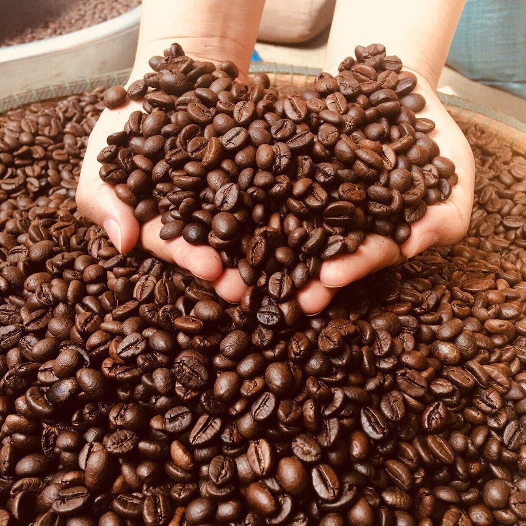 Cà phê Cherry Excelsa thơm ngon, mộc 100%, đậm vị, hậu ngọt, hương trái cây gói 250g, DƯƠNG CAFE