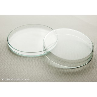 (Hàng Đức) Hộp lồng petri thủy tinh 90*15mm
