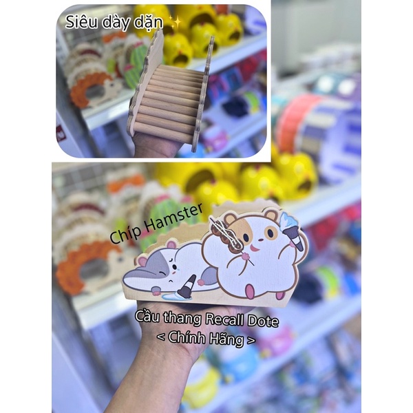 Cầu thang trang trí Recall Dote