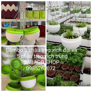 Combo chậu treo xích trồng cây 5 chậu lớn và 5 chậu trung
