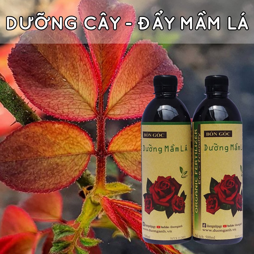 Phân bón Dưỡng mầm lá DOCNEEM kích rễ dưỡng mầm hoa, hồi phục sau cắt tỉa, sâu bệnh, duy trì dưỡng chất chai 500ml