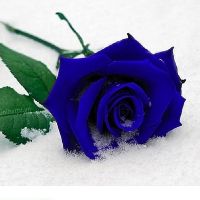 🎀 Kiều Vân Beauty 🎀