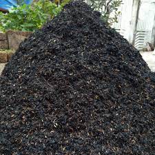 1Kg Vỏ Chấu Hun