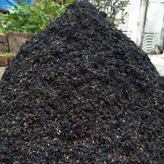 1kg vỏ chấu hun