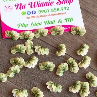 Hoa cúc nghiêng , hoa bột [ 12k/1cái ]