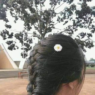 KẸP TÓC CÚC HOẠ MI