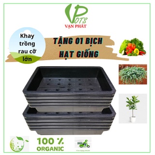 10 Khay Trồng Rau, Chậu Trồng Rau Thông Minh Cỡ Lớn Vạn Phát D65*R42*C16 cm, Tặng 01 Bịch Hạt Giống