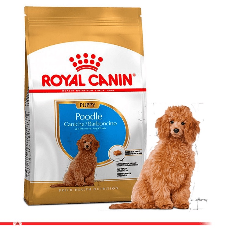 Royal Canin Poodle Puppy 1,5kg - Hạt Cho Chó Con Poodle 2-10 Tháng Tuổi (Bao Nguyên Seal)