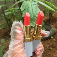 Combo 10 cây son sáp đủ màu