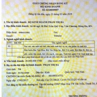 Mặt nạ dẻo Bạc Hà hàng Handmade