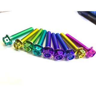 Ốc GR5 Titanium 6 ly 4 phân ( M6*40 ) đầu Probolt ( vương miện )