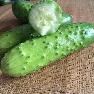 Hạt Giống Dưa Chuột Nếp Ta - 10 Hạt