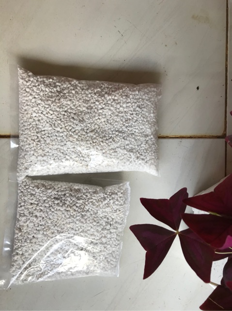 Đá Perlite - Đá trân châu rải măt trộn giá thể trồng sen