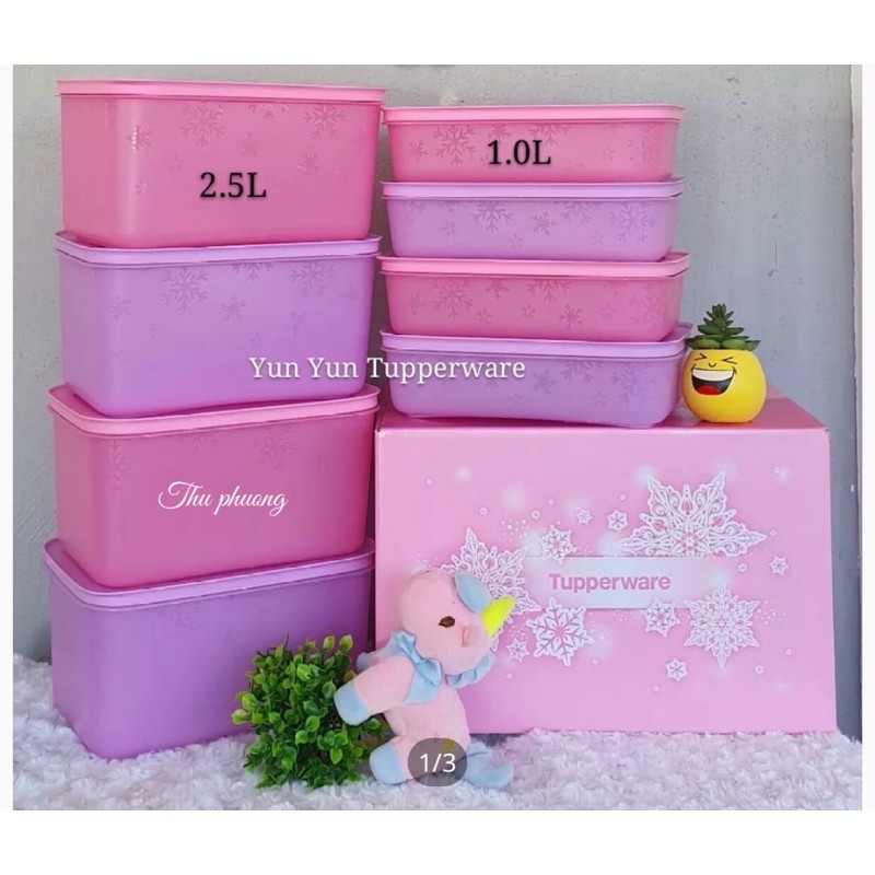 set 4 hộp đông dẻo tupperwear malaysia