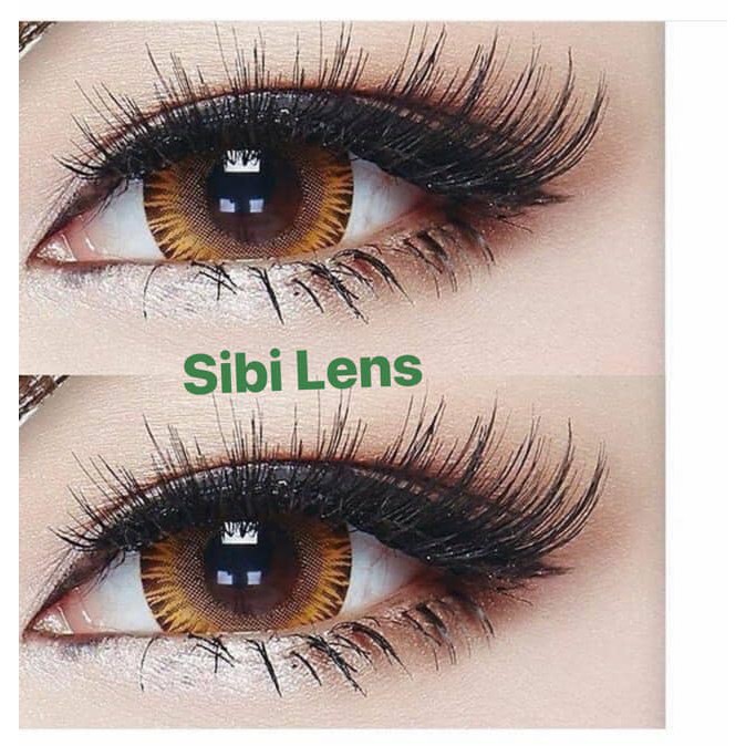 Lens Glamorous Brown - Chuẩn lens- Cam Kết Chính Hãng