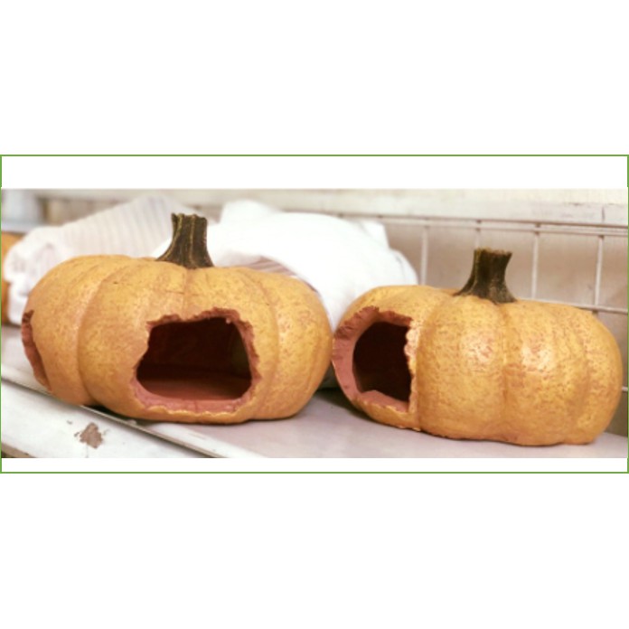 Bí ngô trang trí ( ngập tràn Halloween)