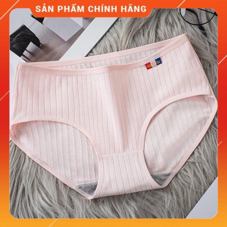 Quần Lót Cotton Pháp Sợi Tre Màng Kháng Khuẩn 225