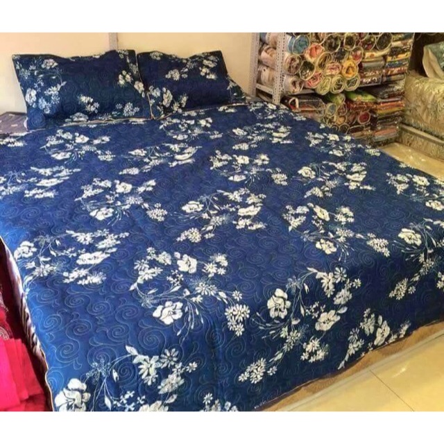 Bộ ga phủ trần đẹp