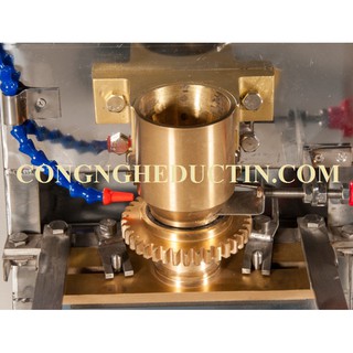 Máy tạo viên thịt, cá SXW-280