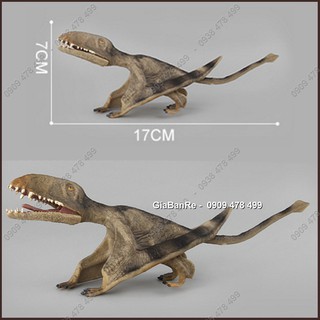 Mô Hình Khủng Long Thằn Lằn Bay Dimorphodon - 7748